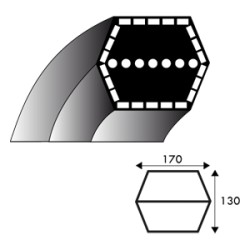 Courroie hexagonale AA95 - 12.7 mm x 2464 mm - Universel - 7540470 -7540527