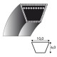 Courroie Z31 - 10 mm x 790 mm