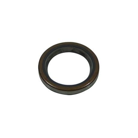 Joint Spi Briggs et Stratton 294606S