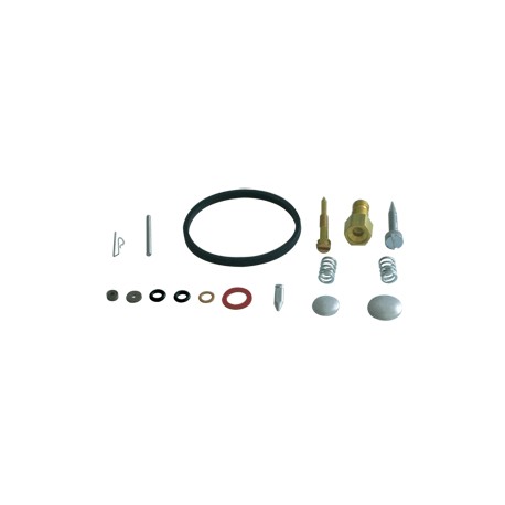 Kit réparation carburateur ASPERA TECUMSEH 631029 / 631240