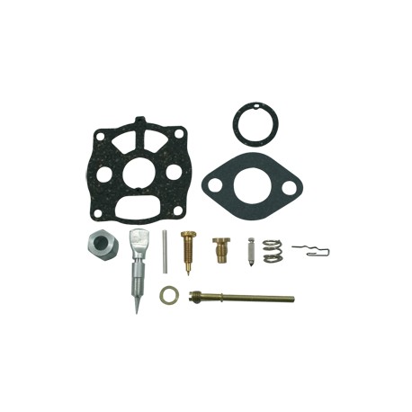 Kit réparation carburateur BRIGGS et STRATTON 291691