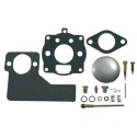 Kit réparation carburateur BRIGGS et STRATTON 391071