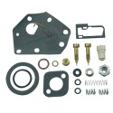 Kit réparation carburateur BRIGGS et STRATTON 494622