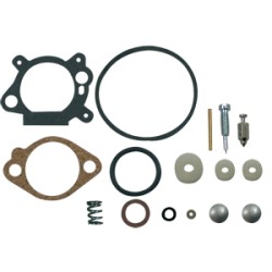 Kit réparation carburateur BRIGGS et STRATTON 493762 / 498260 / 492495