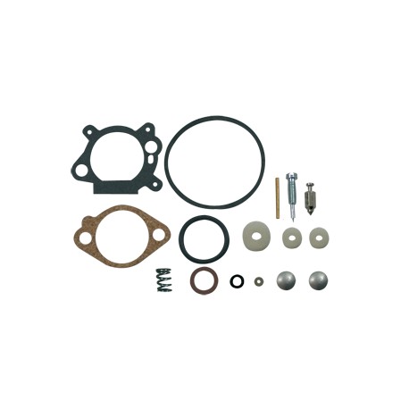 Kit réparation carburateur BRIGGS et STRATTON 493762 / 498260 / 492495