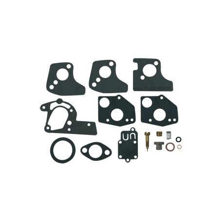 Kit réparation carburateur BRIGGS et STRATTON 494624 / 459606