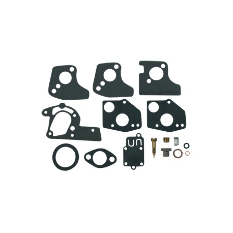 Kit réparation carburateur BRIGGS et STRATTON 494624 / 459606