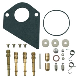 Kit réparation carburateur BRIGGS et STRATTON 497535 / 495799 / 494880 / 494384