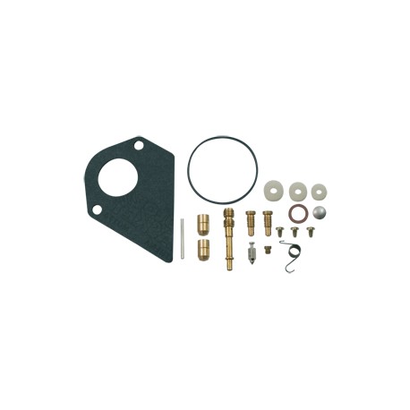 Kit réparation carburateur BRIGGS et STRATTON 498116