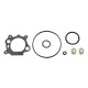 Kit réparation carburateur BRIGGS et STRATTON 498261 / 490937